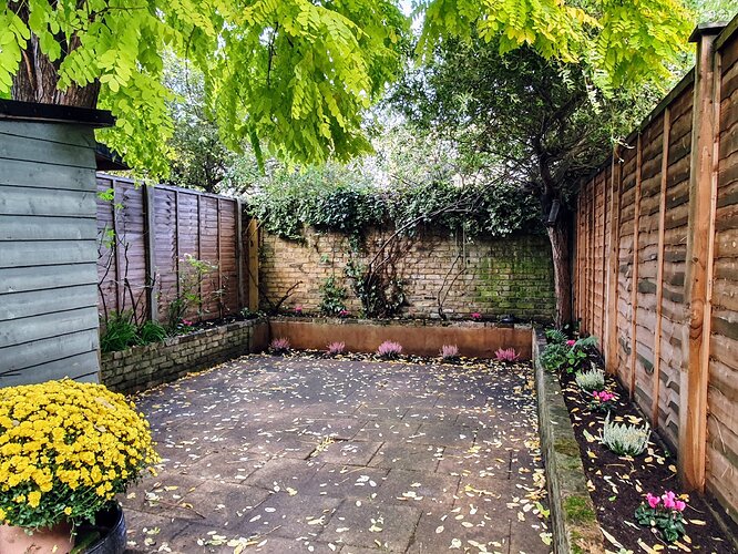 London-Battersea-SW11-House-for-Rent-Garden-scaled