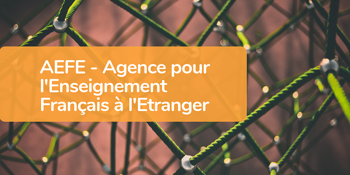 AEFE%20-%20Agence%20pour%20l'Enseignement%20Franc%CC%A7ais%20a%CC%80%20l'Etranger